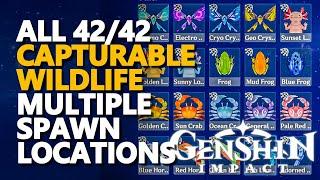 All Capturable Omni-Ubiquity Net Creatures Genshin Impact Archive Wildlife