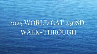 2025 WORLD CAT 230SD WALK-THROUGH