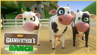 Lola the cow  children’s videos  nursery rhymes songs