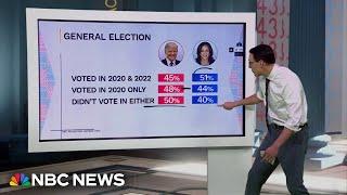 Steve Kornacki: The persuadable voters Trump and Harris are trying to win over