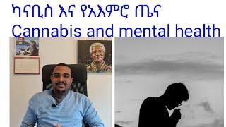 ካናቢስ እና የአእምሮ ጤና(Cannabis and mental health) Seifu on EBS|Donkey Tube|Besintu