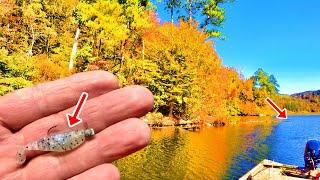 Simple Way To Find & Catch LOADS Of Fall Crappie