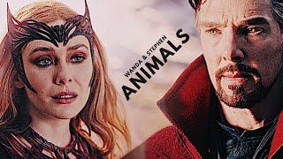 Wanda Maximoff & Stephen Strange || Animals