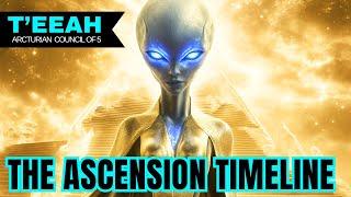 ***Have We Missed The Window?*** | The Arcturian Council Of 5 - T'EEAH