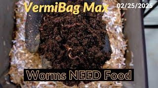 Vermibag Max -  Drying out but worms are fine 2/25/2026