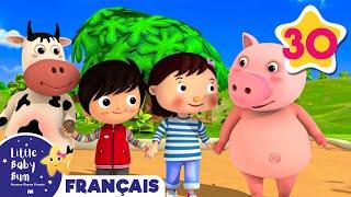 Apprendre à être gentil | Comptines et Chansons pour Bébés | Little Baby Bum en Français