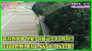 농지원부용 텃밭!토지가 437평! 땅도 사고 직불금도  타먹자!1석2조! [고성부동산] Sales of rural ground in Goseong, korea