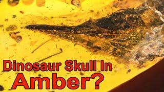 A Tiny Dinosaur Head Has Been Found in Amber - But At What Cost?