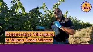 Regenerative Viticulture at Wilson Creek Winery & Vineyards | Greg Pennyroyal, Vineyard Manager