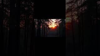 Música Suave Para Dormir, Estudar, Meditar e Sonhar #fe #reflexão  #conhecimento #shorts #feedshorts