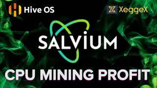 SALVIUM (SAL) NOW TOP PROFIT! Easy HIVEOS Mining Tutorial + Pool + Wallet!