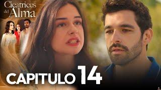 Cicatrices Del Alma | Capitulo - 14 Doblaje Español | Review