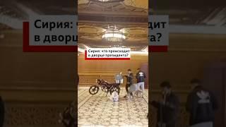 Кадры из дворца Башара Асада в Дамаске. #сирия