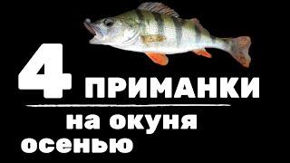 4 приманки на окуня осенью. Где искать рыбу, какие веса и цвета использовать?