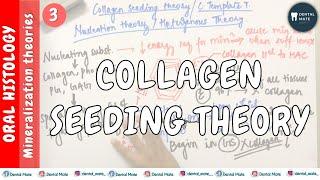 Collagen Seeding Theory | Nucleation Theory | Template theory | Mineralisation theories | Dr Paridhi