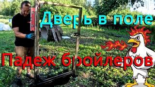 Начался падеж бройлеров, но их стало больше. Установили дверь в поле сквозь которую можно пройти.