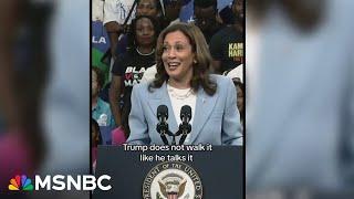 Kamala Harris rides viral meme 'wave' as campaign seizes organic momentum