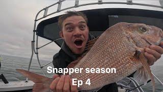 WE GOT A BIG SNAPPER!!! Snapper Season - ep 4