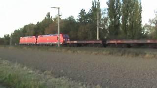 Walberberg Brühl 2x BR185, 2x BR101, 2x BR146, 2x BR425, 2x BR460