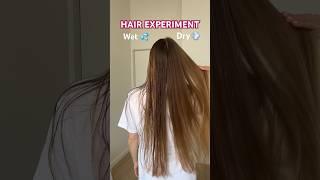 Hair Experiment Wet VS Dry hair  #beauty #hairhack #hairstyle #hair #longhair #haircare