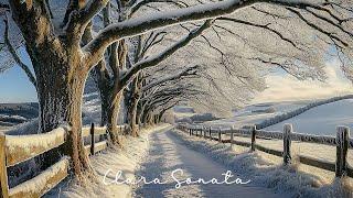 Winter's Embrace: Peaceful Piano Melodies for a Serene Snowy Journey ️