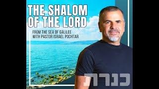 The Peace of God: How to Pray for Shalom