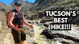 Tucson Arizona's BEST HIKE! Sabino Canyon - Seven Falls Trail