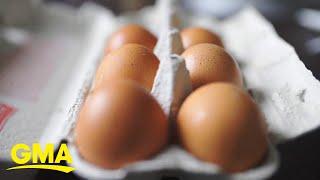 US faces egg shortage ahead of 2025