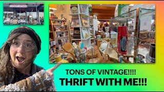 Vintage Thrifting Vlog!! Come Thrift at a Cat Adoption Thrift Store!!!