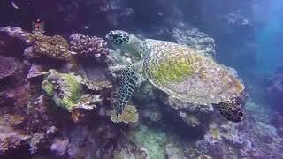 Impact of Climate Change on Kia Island, Vanua Levu, Fiji.