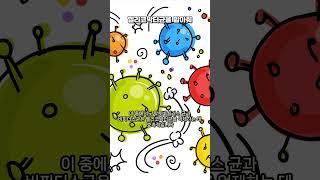헬리코박터균을 밟아 줘