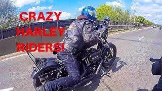 500 CRAZY Harley Davidson Sportster Meet