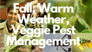 Fall, Warm Weather, Veggie Pest Management *Webinar Series*