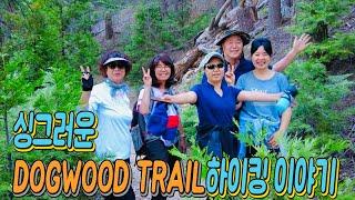 애뜰의 싱그러운 DOGWOOD TRAIL 하이킹 이야기