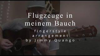 "Flugzeuge In Meinem Bauch" fingerstyle cover by Jimmy Quango