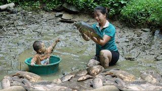 How to catch giant fish in the pond with your kids - Triệu Thị Hiền