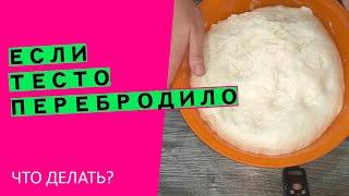 Если тесто перебродило и ОПАЛО!   Что делать? {Наглядный эксперимент}