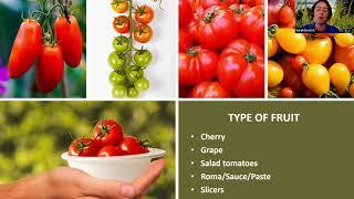 Edible Gardening: Tomatoes 101 (webinar series)