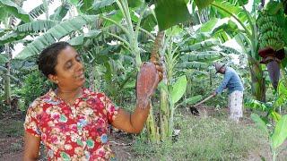 Today's special village food.Today I am making a meal that will surprise you/ village kitchen recipe