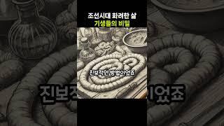 조선시대, 화려한 삶, 기생들의 비밀무기..  #호기심+