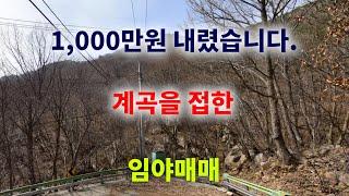 [1258][임야매매] 1,000만원을 내렸습니다. 계곡이 접한 임야매