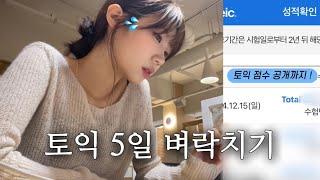 Vlog | 토익 5일 벼락치기 레쓰고 (토익 점수 공개도....)  • New 폰케이스 • ootd • 방학 맞이 토익 공부 (with 산타)