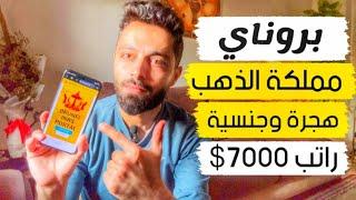 دولة تعطي راتب 7000$ مقابل غسل الصحون