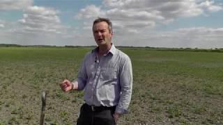 Sustainable Soil Management - Groundswell Exhibitor Presentation