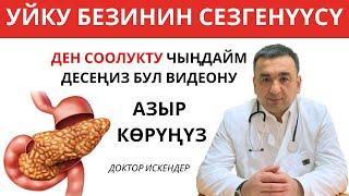 ПАНКРЕАТИТ – БУЛ УЙКУ БЕЗИНИН СЕЗГЕНҮҮСҮ / ДЕН-СООЛУГУҢУЗ ҮЧҮН БУЛ ВИДЕОНУ АЗЫР КӨРҮҢҮЗ