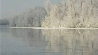 Frozen Beach by Lange