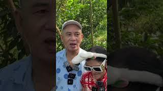 Vườn quýt đẹp nhất vùng lai vung đồng tháp