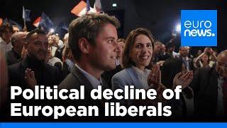 Political decline of liberals: Why could Renew Europe see a major drop in MEPs after EU vote?