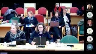 Strategic Overview and Scrutiny Committee - 28 November 2024