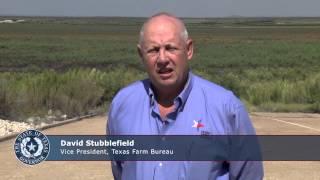 David Stubblefield, Vice President of Texas Farm Bureau